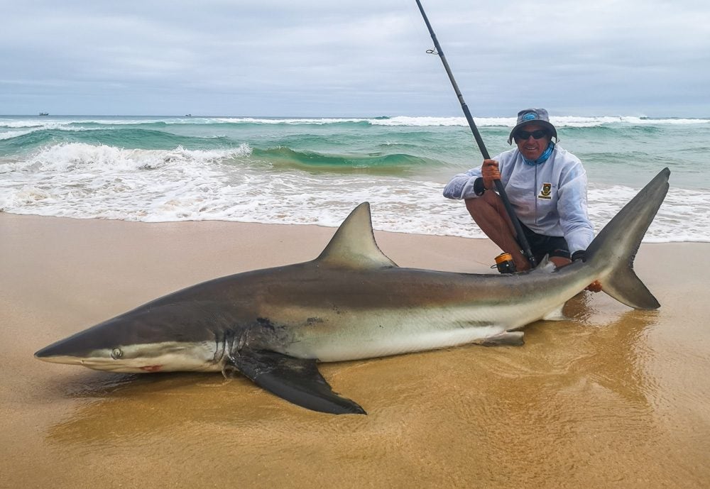 Hosted Shark Fishing South Africa