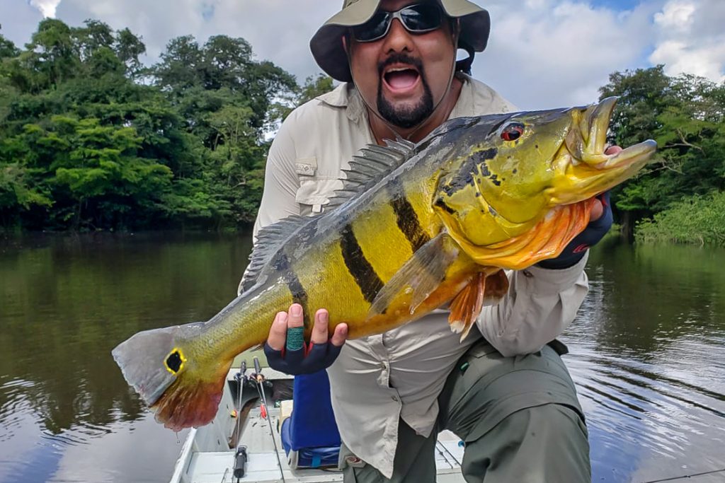 Peacock Bass Fishing Brazil