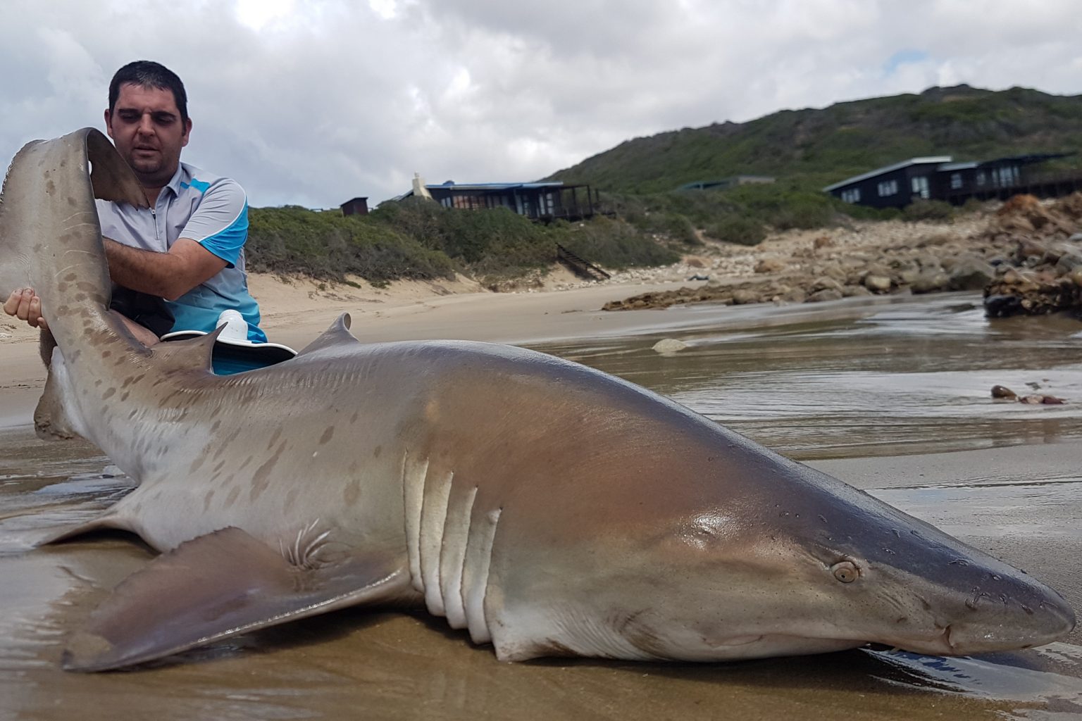 Hosted Shark Fishing Jeffreys Bay South Africa Sportquest Holidays