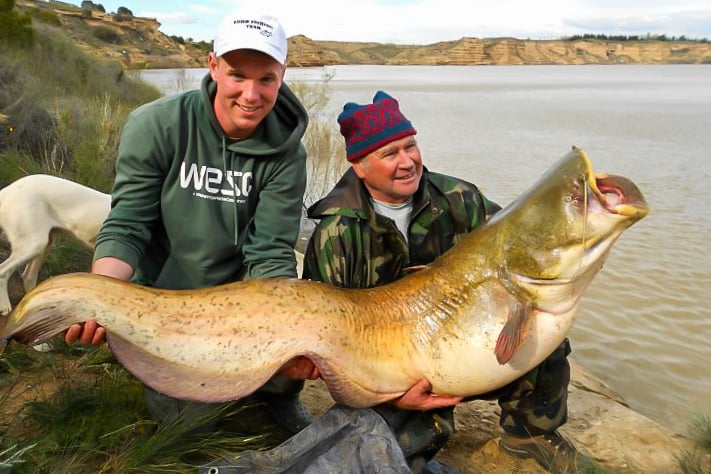 Wels Catfish Fishing, Ebro River Spain