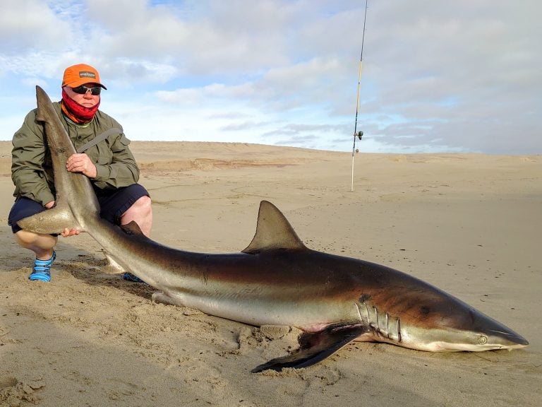 Shore fishing for Bronze Whaler Shark - Bushguide 101