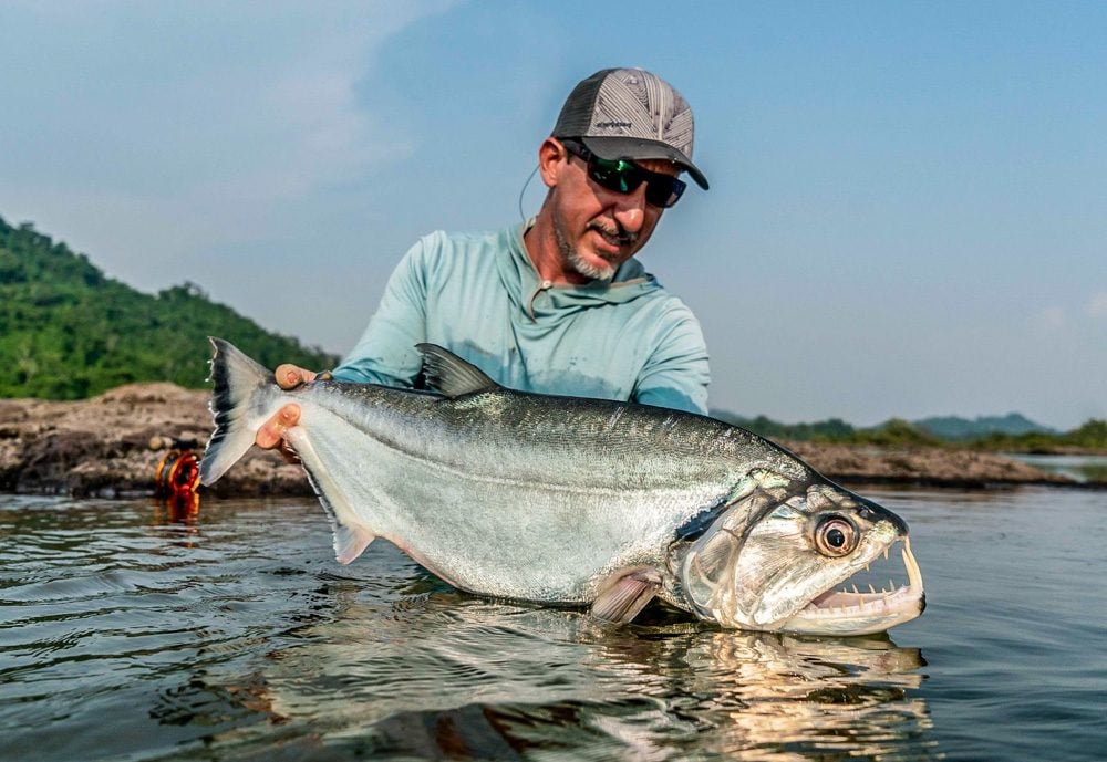 Brazil Fly Fishing, Peacock Bass