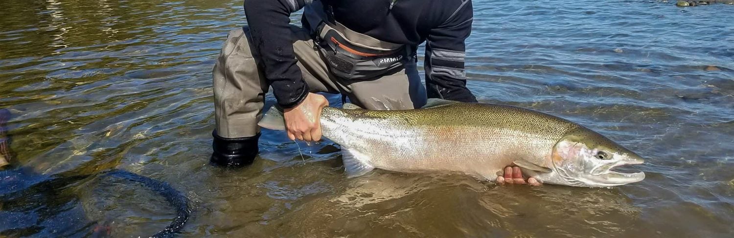 Nicholas Dean Steelhead Fishing, Salmon, British Columbia