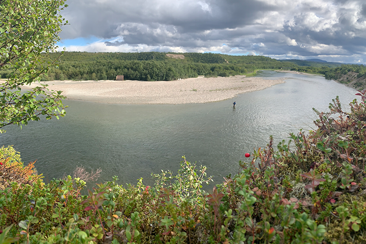 norway salmon rivers Lakselva