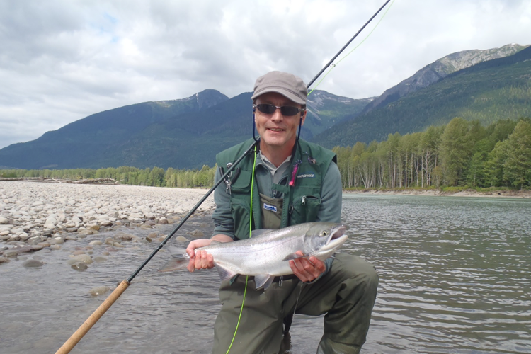 Sockeye Salmon