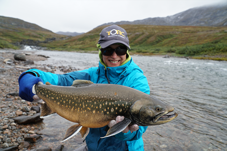 Dark coloured Arctic Char