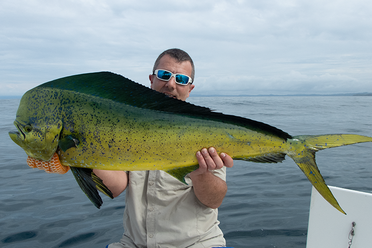 Mahi Mahi