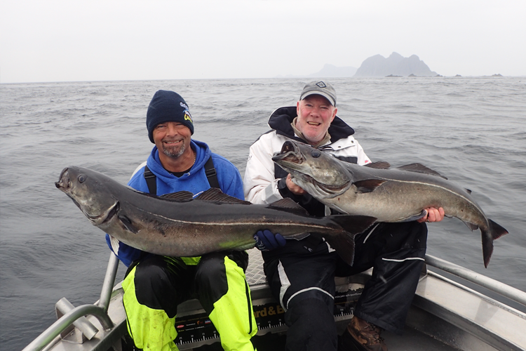How to catch more and bigger cod and coalfish with soft baits in Norway