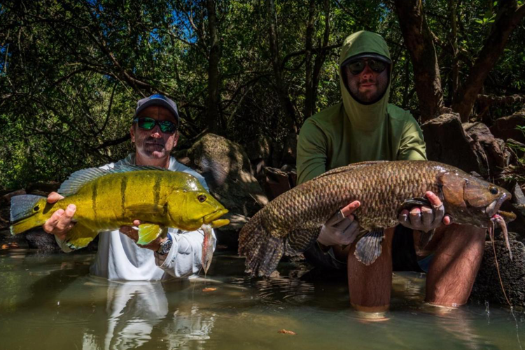 6,473 Peacocks landed by our skilled guests –  Basin Fishing