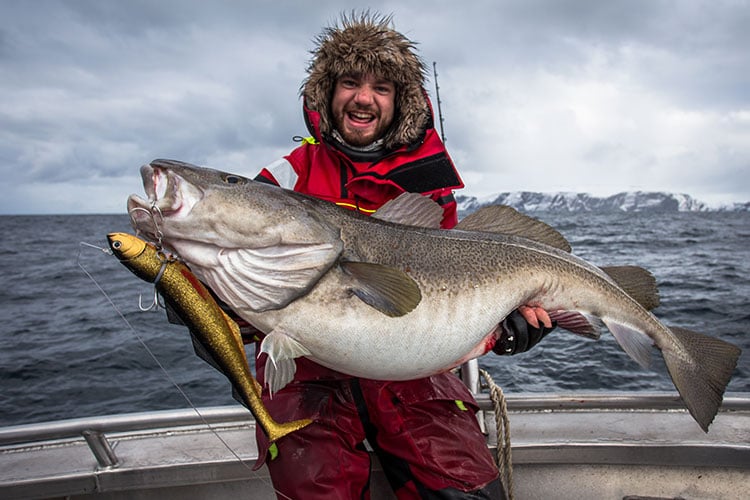 norway sea fishing tips