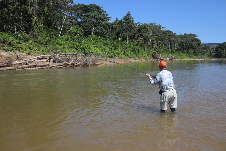 Fly Fishing Advice