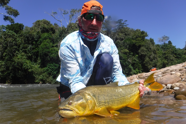 Golden Dorado size