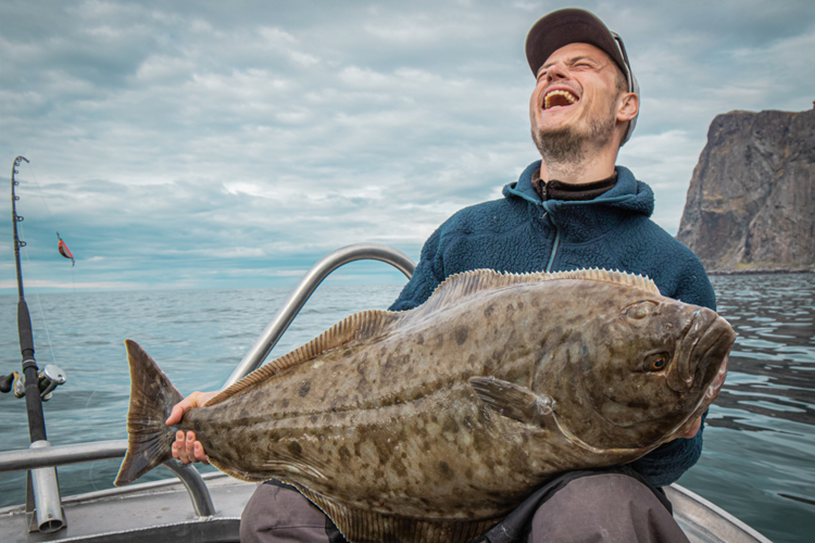 Halibut Fishing in Shallow water - Nappstraumen Fishing Report