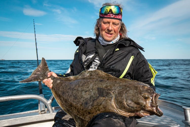 Halibut: The Flatfish Monsters of the Sea!