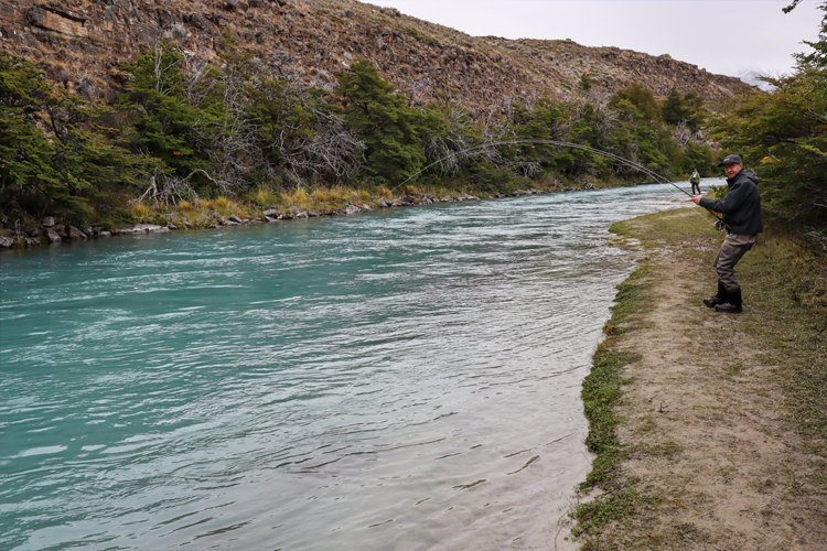 Swinging Flies for Chinook Salmon