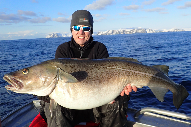 Huge Soroya Skrei Cod