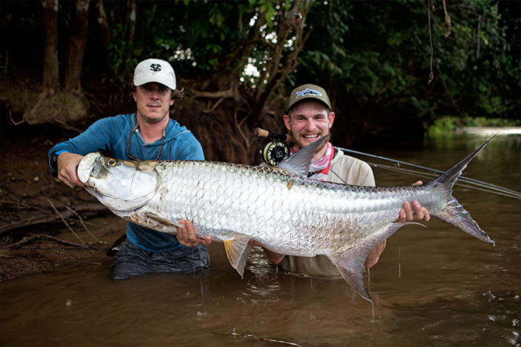 tarpon with two anglers