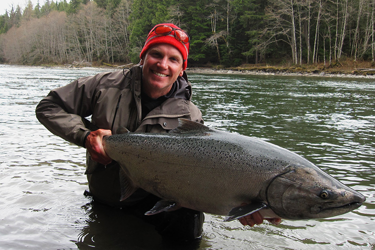 Chinook pacific Salmon