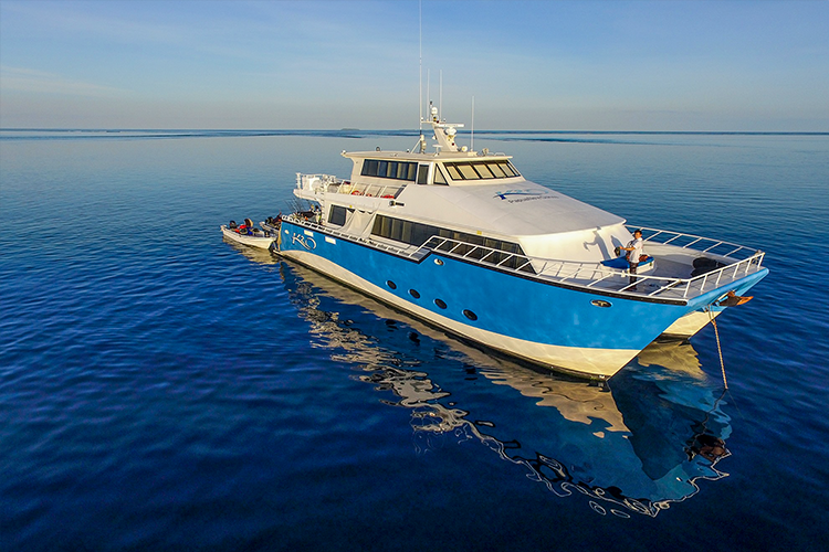 Liveaboard Fishing madagascar