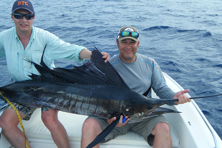 Seychelles Fish Species