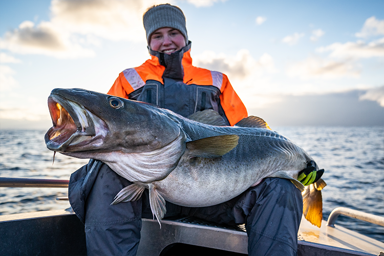 Record breaking Fishing lodges in Norway