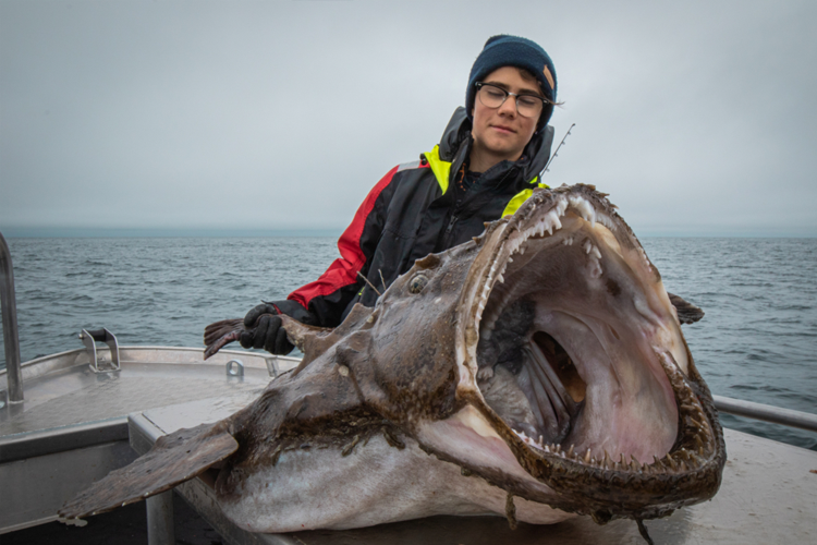 Monkfish: Species Spotlight, Sea Fishing Holidays