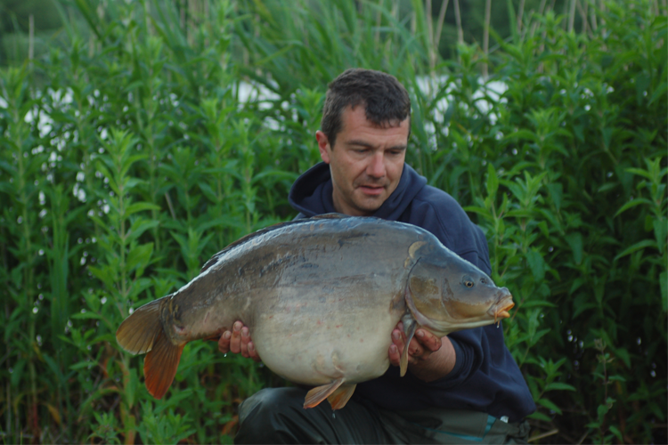 Huge River carp from spain