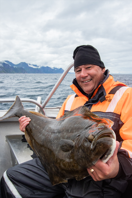 Strong Currents, Nice Halibut And Camp Records! - Å Fishing Report