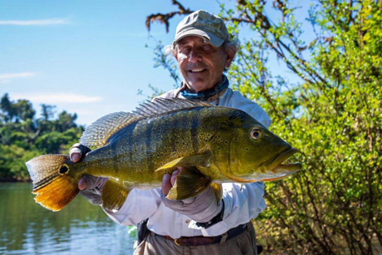 My Favorite Peacock Bass Fishing Lures - River Plate Anglers