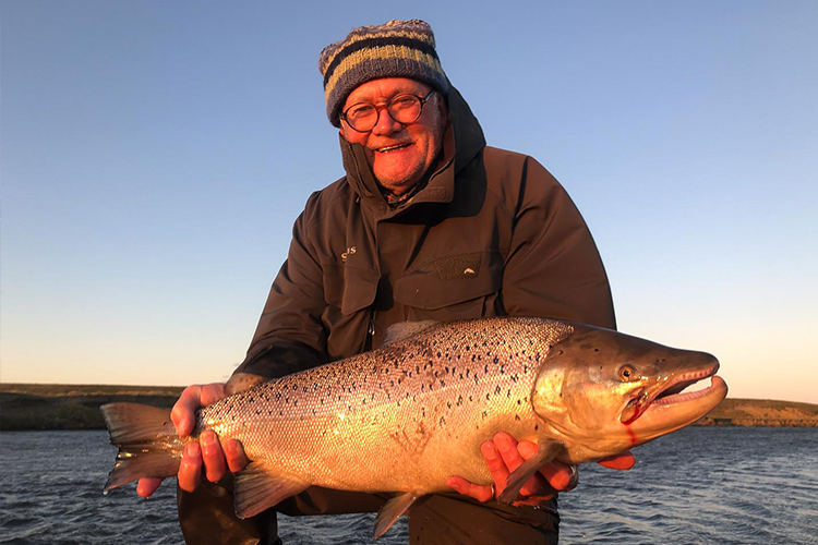 Picture of a sea trout in the sun