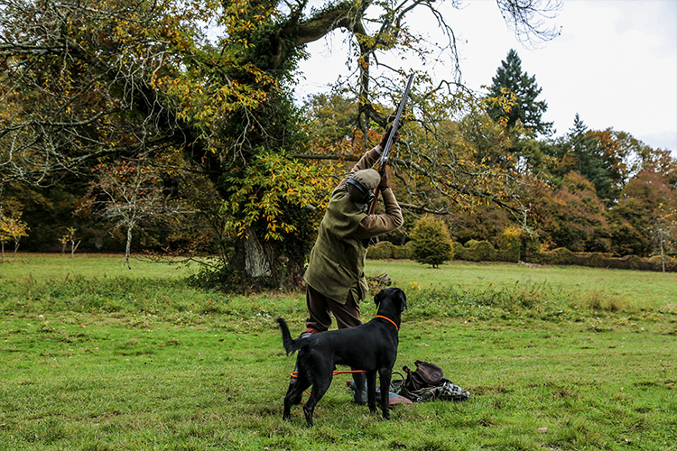 Shooting Pheasant tips