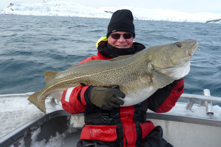 sea fishing tips for cod