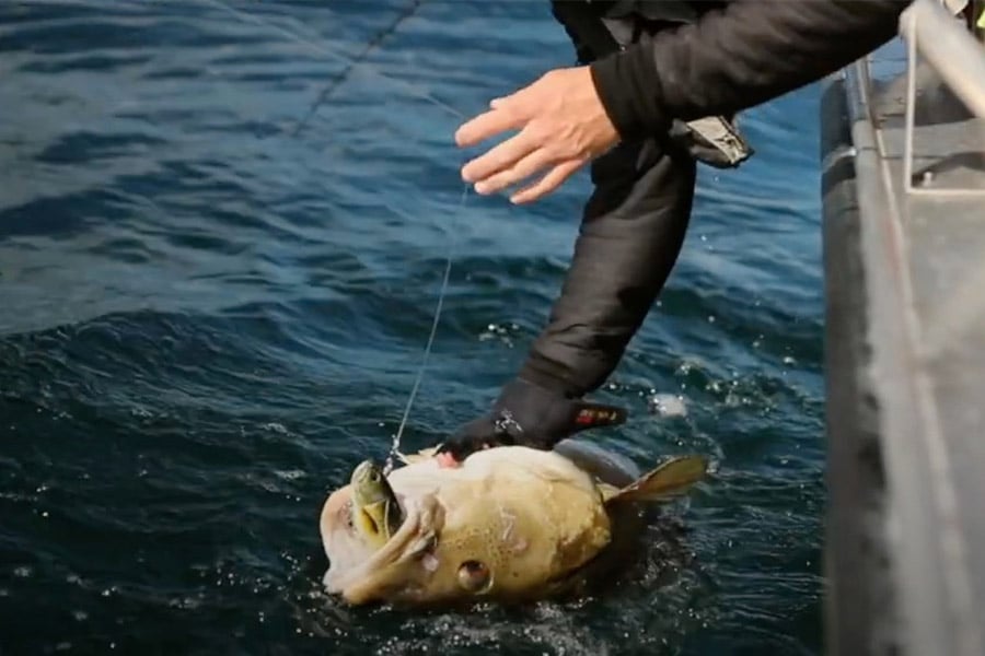 Catch and Release Fishing - Fish Care In Norway