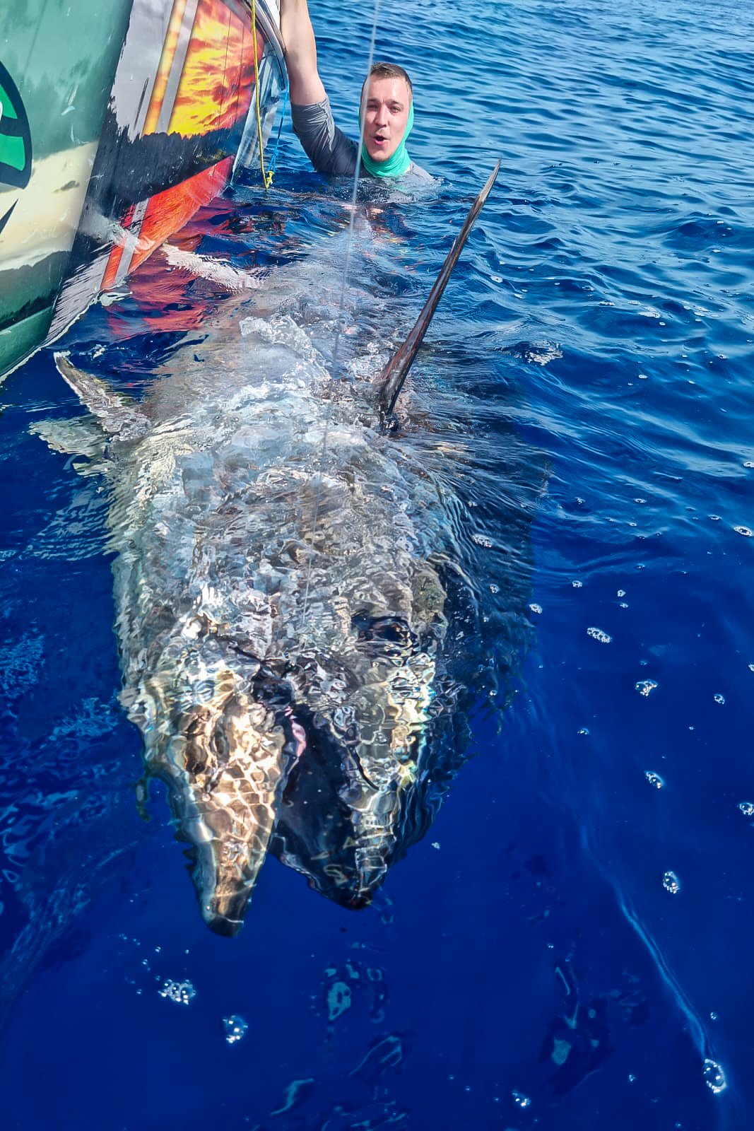 Popper Fishing for Bluefin Tuna // Into the Depths Sportfishing 