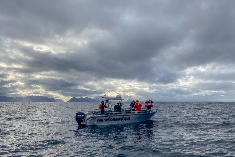 Mortimer and whitehouse gone fishing Norway Christmas special