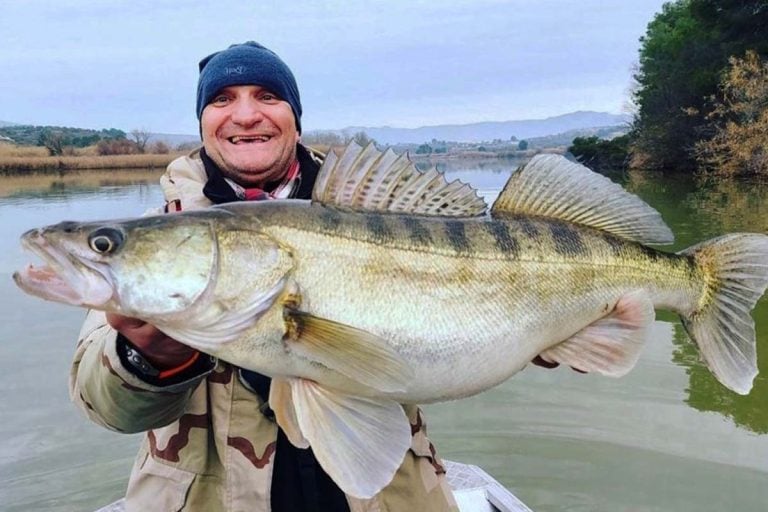Species Spotlight: Zander | Sportquest Holidays