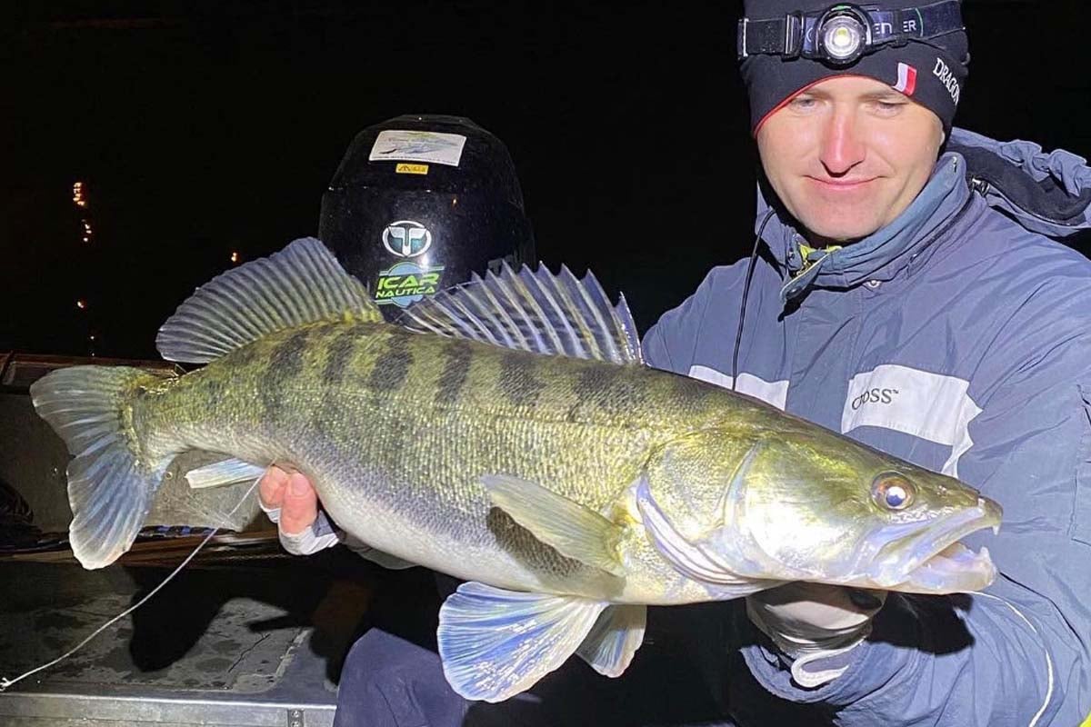 Species Spotlight: Zander | Sportquest Holidays