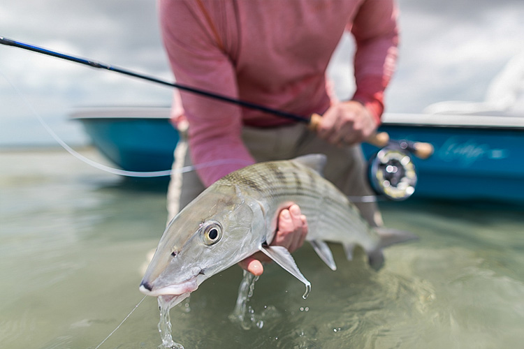 Advice On Targeting Bonefish On The Fly At Abaco Lodge, Bahamas