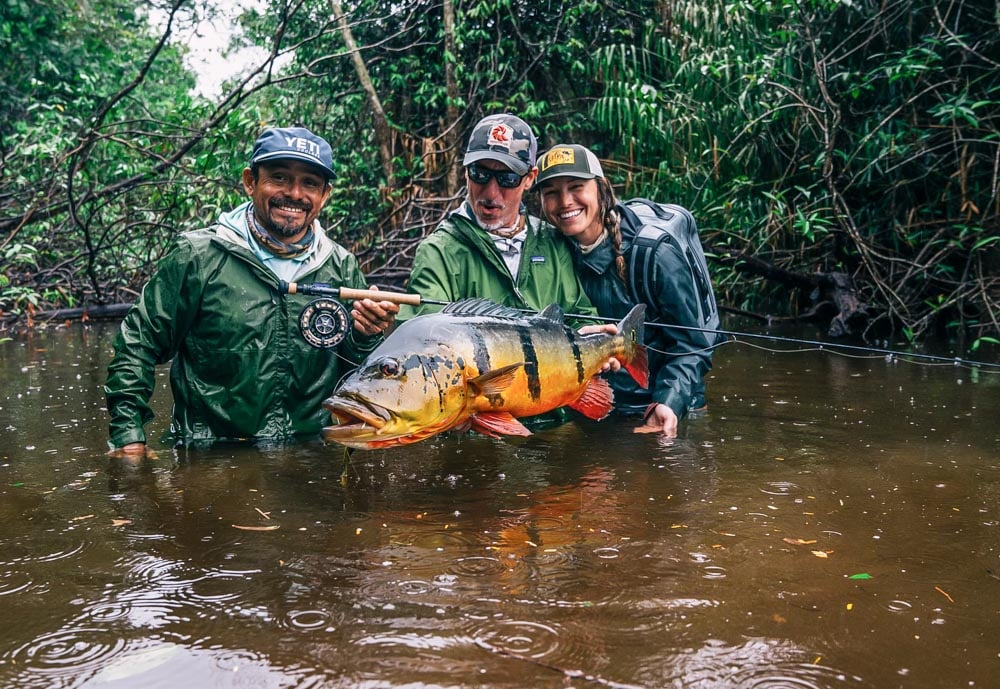 Peacock Bass Fishing, Freshwater Fly