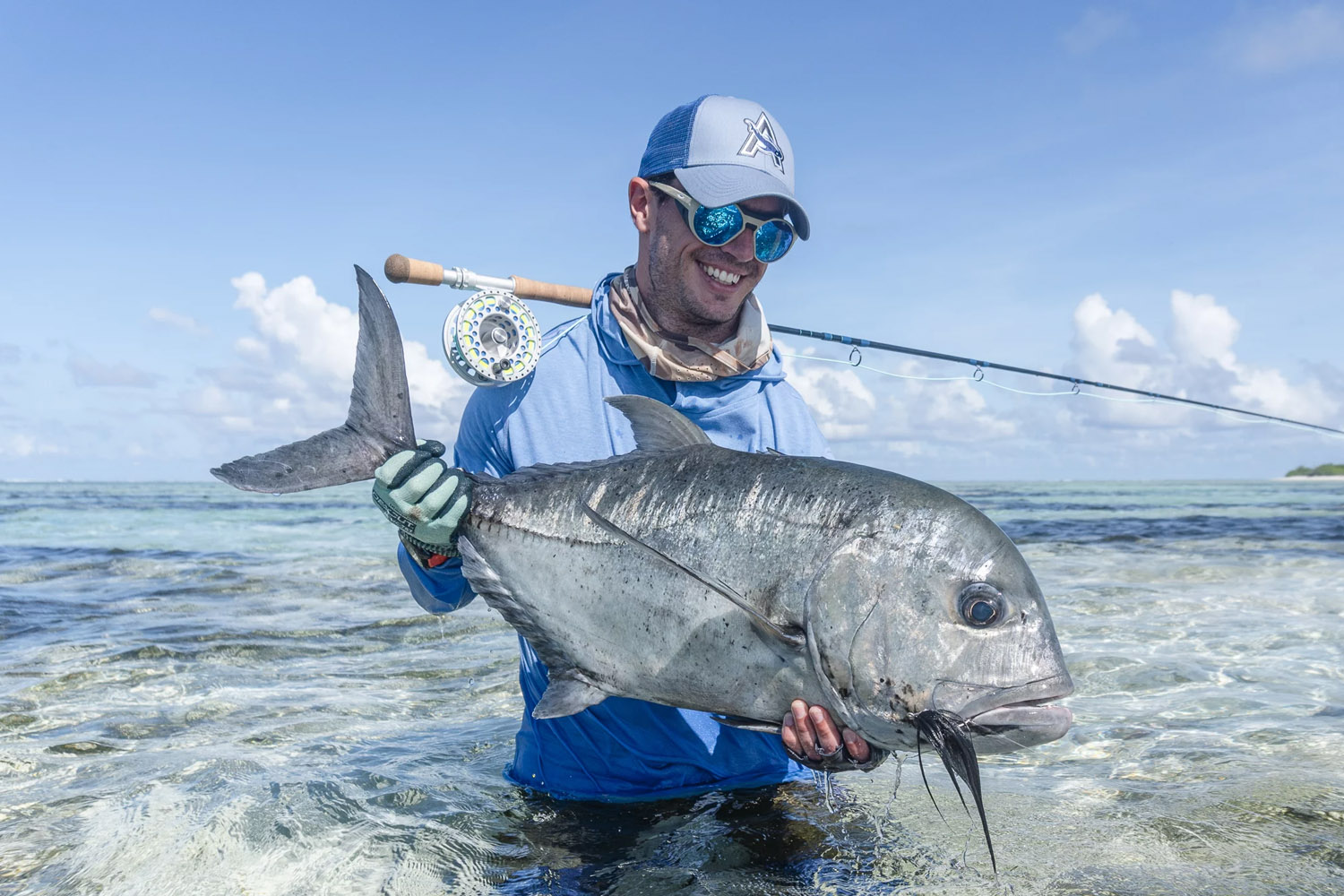 Costa trevally on face top