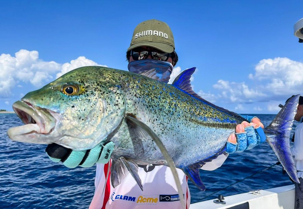 Maldives Fishing, Saltwater Fly, Popper Jig & Big Game