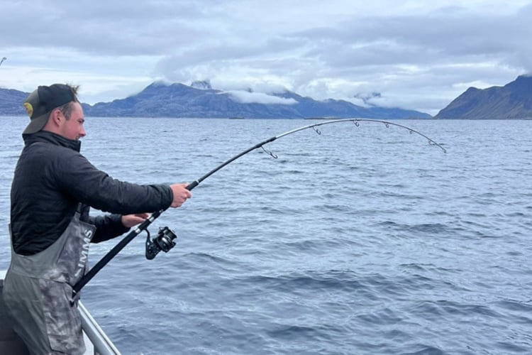 Nappstraumen, Fishing Report 24th August 2023