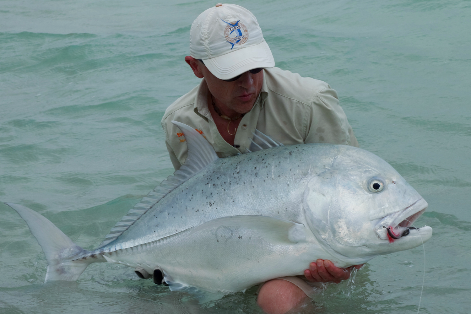 How to Catch Giant Trevally | Fishing Blog | Sportquest Holidays How to Catch Giant Trevally | Fishing Blog | Sportquest Holidays