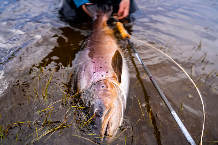 Estancia Glencross End of Season Fishing Report 2023