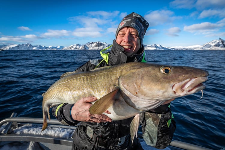 A Beginners Guide to Cod Fishing in Norway