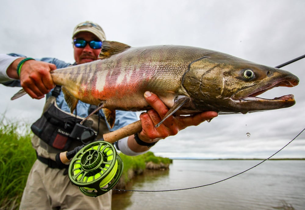 RAPIDS CAMP ALASKA