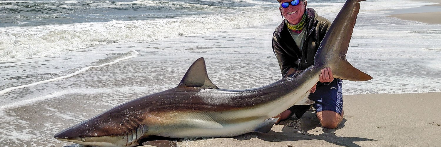 Bronze Whaler Shark Fishing, Namibia