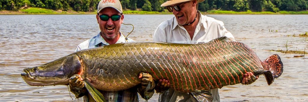 8 ugly stik catfish rod Ugly Stik Carbon Catfish Spinning Rod main image 1