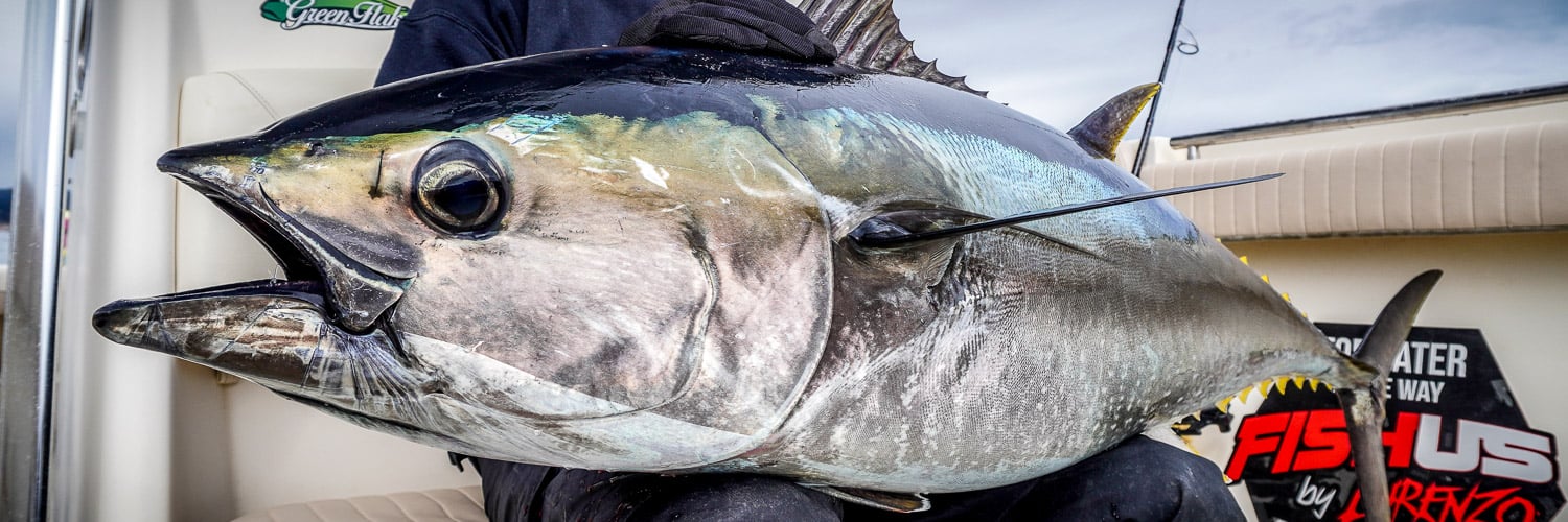 Bluefin Tuna Fishing, Big Game & Bluewater