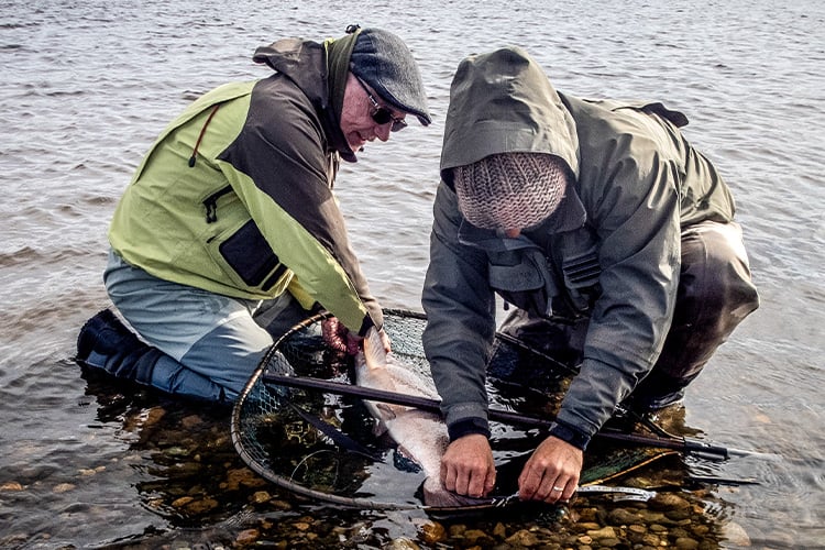 Guided Fly Fishing Trips